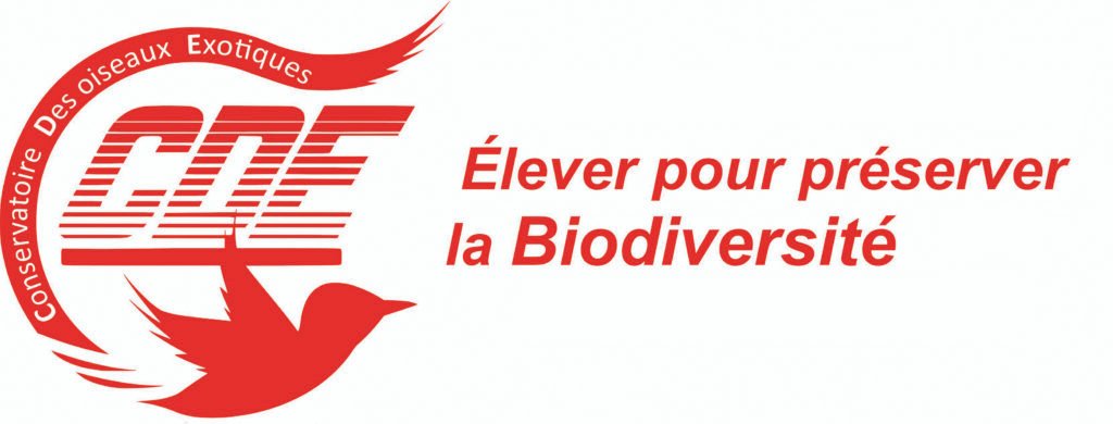CDE-Conservatoire des oiseaux exotiques