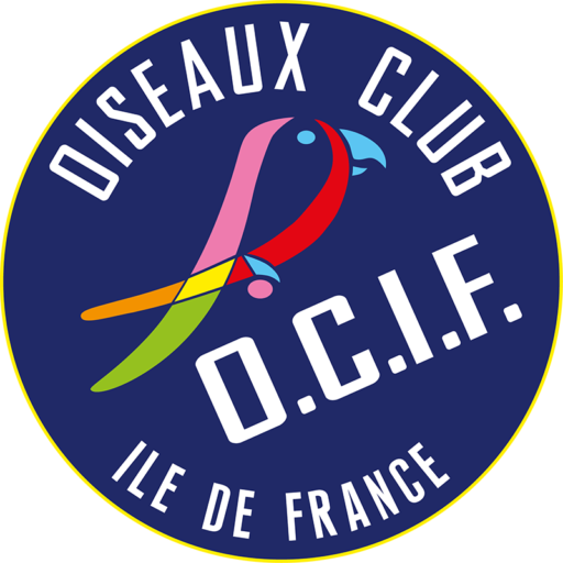 OCIF