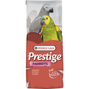 VERSELE LAGA - perroquets