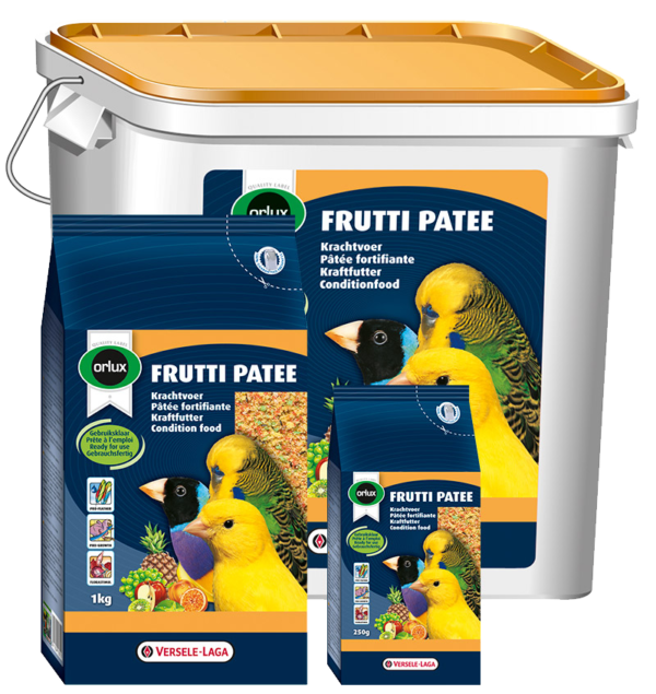 Pâtée aux fruits Orlux